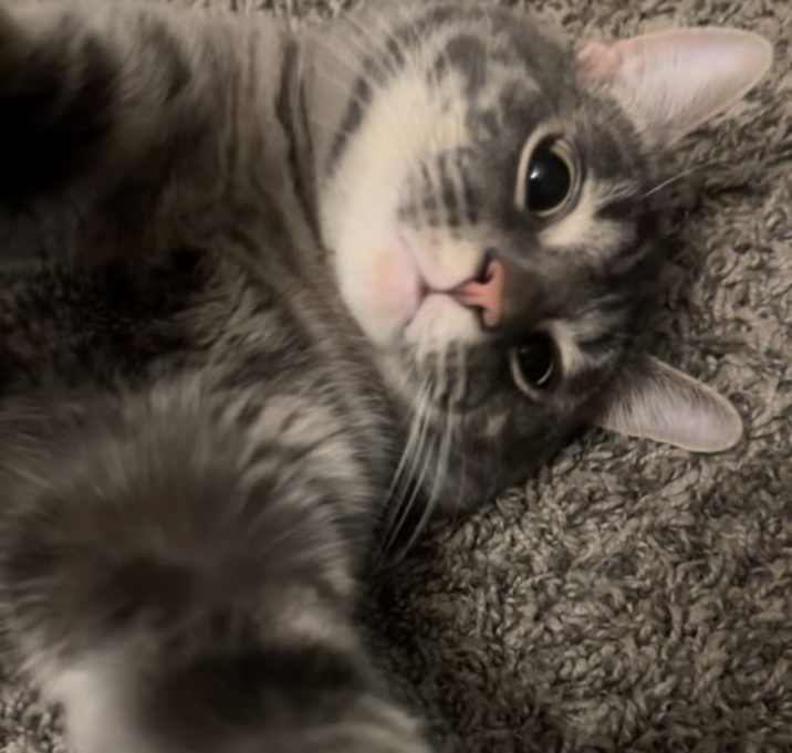 Photo of Junior