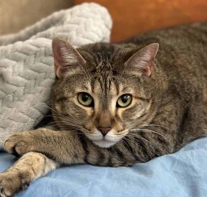 Photo of Joey