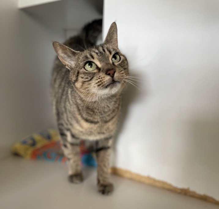 Photo of Cleo