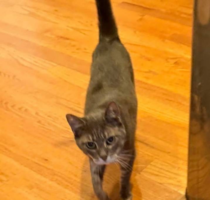 Photo of Mimi 0436