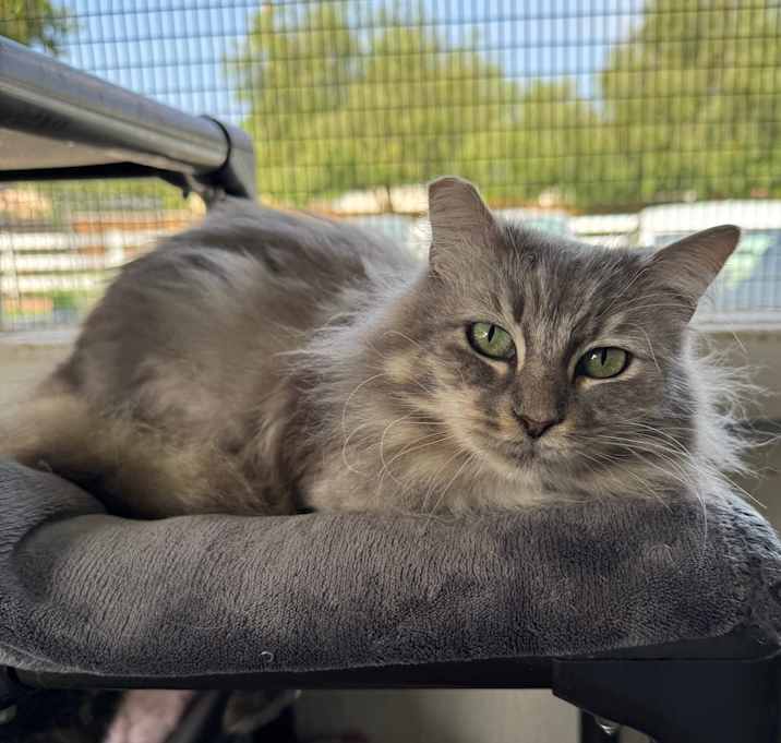 Photo of Mimi