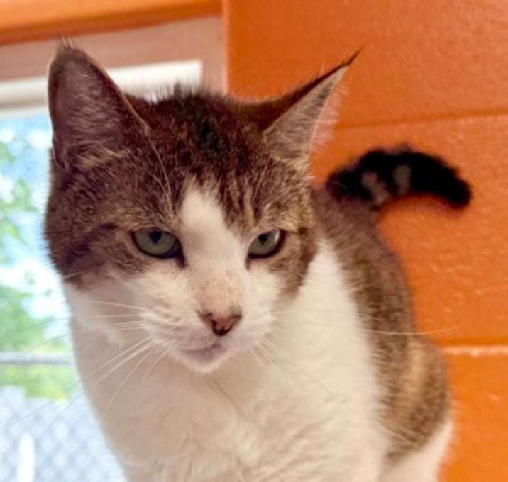 Photo of Luna