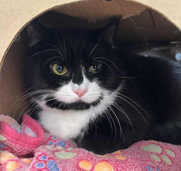 Photo of Bud (bonded To Peaches)