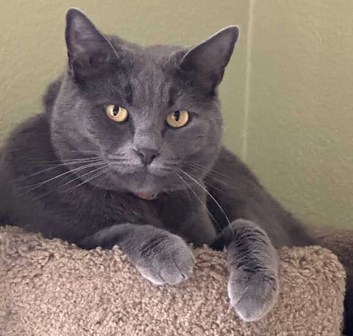 Photo of Luna