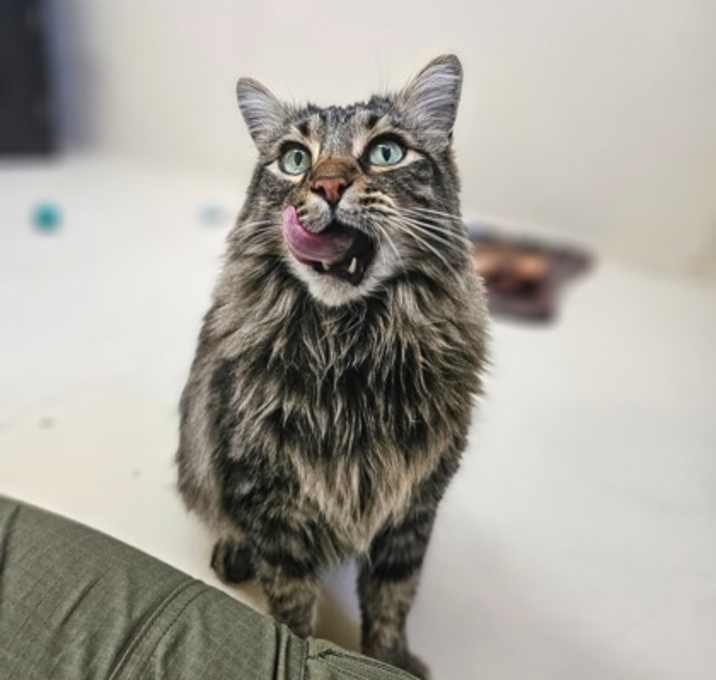 Photo of Pepper