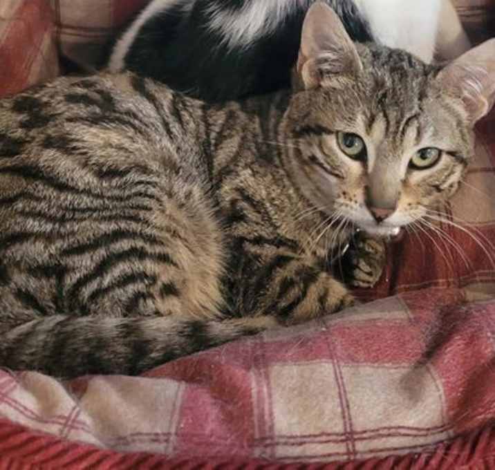 Photo of Alvin