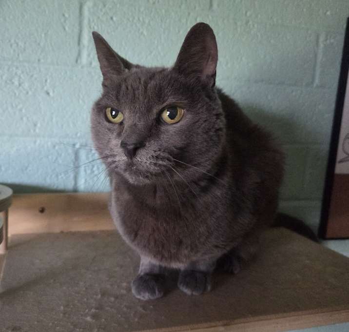 Photo of Silver