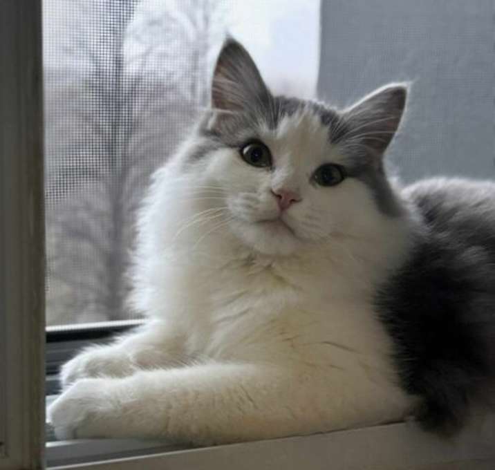Photo of Grace