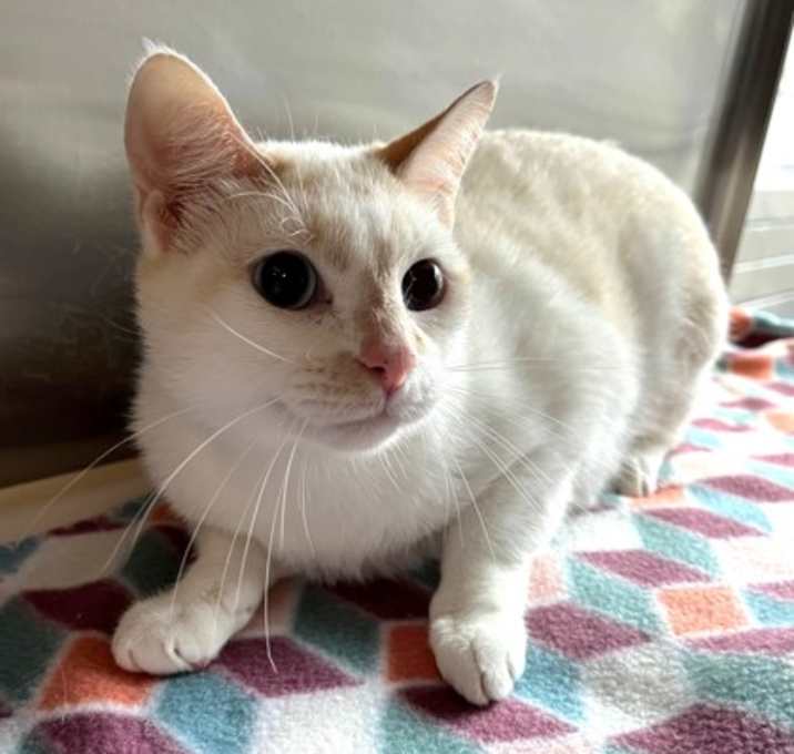 Photo of Princess