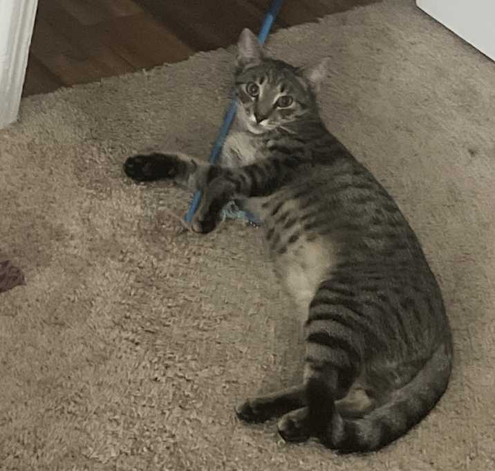 Photo of Tom