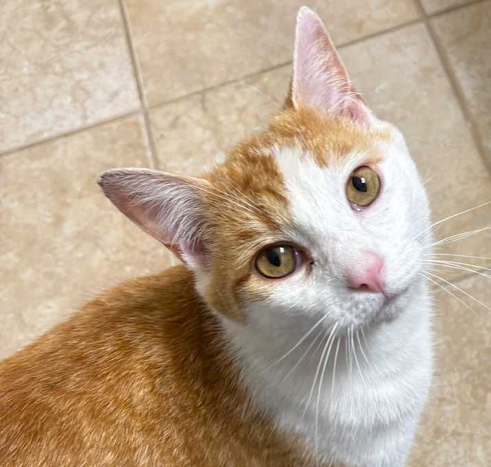 Photo of Roscoe