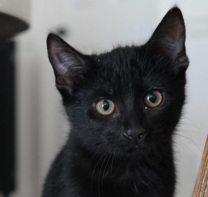 Photo of Spicy
