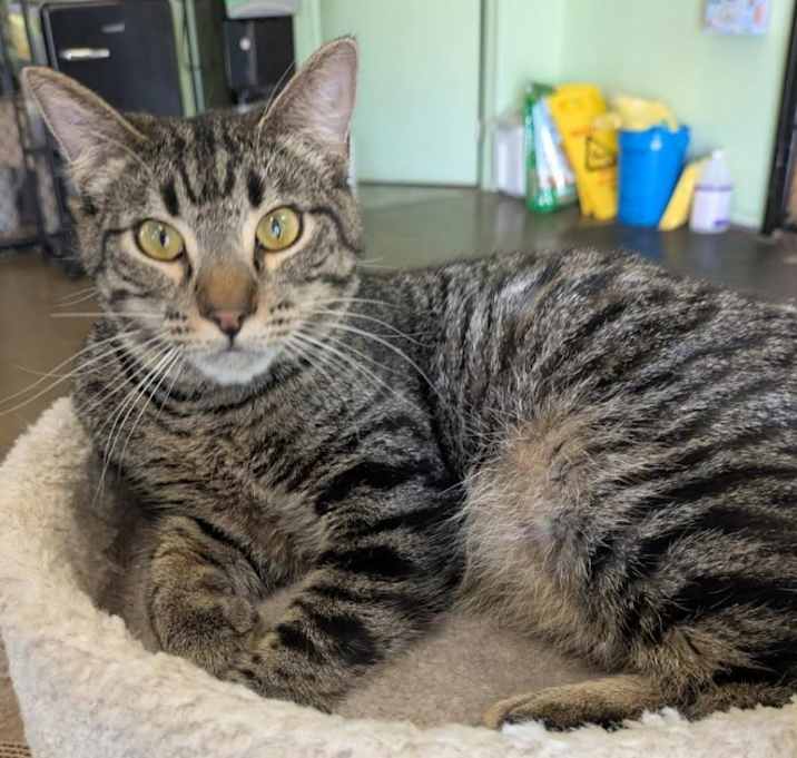 Photo of Ripley