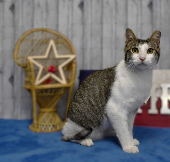 Photo of Jinks