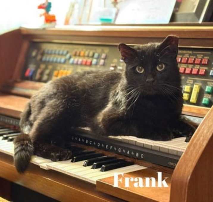 Photo of Frank