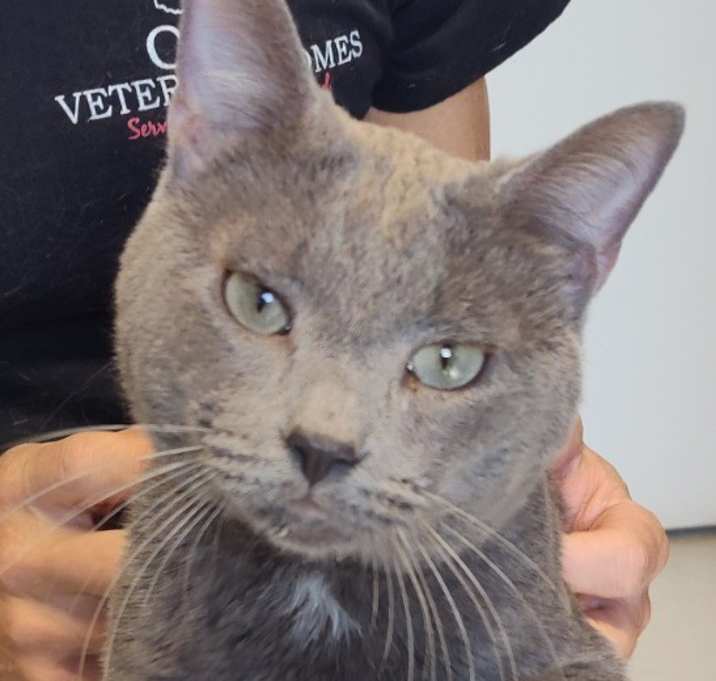 Photo of MR. MAGOO