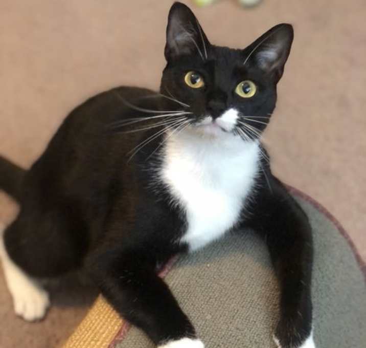 Photo of Maggie