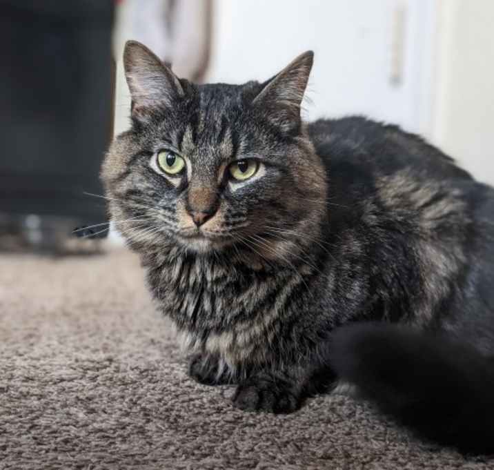 Photo of Zeus