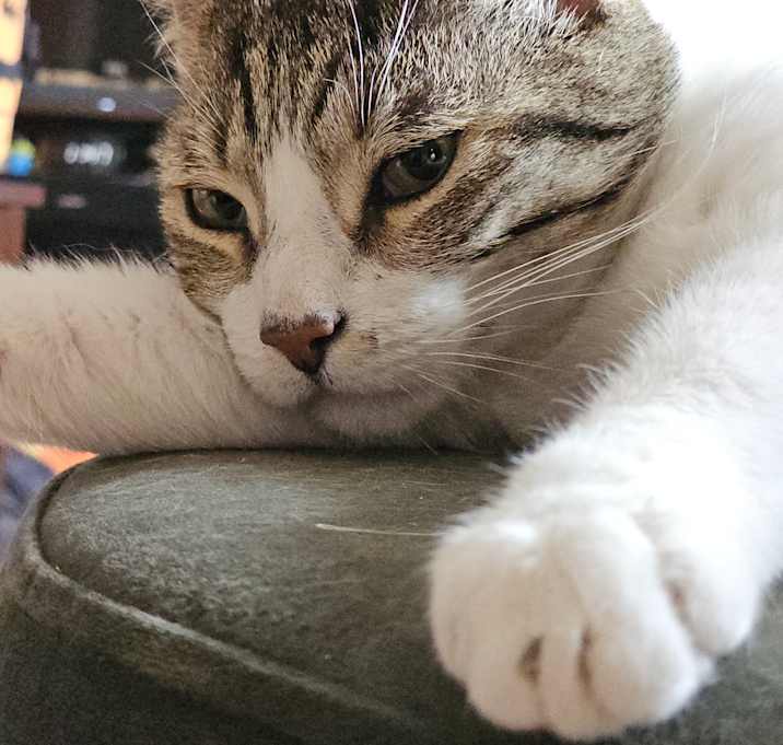 Photo of Kevin