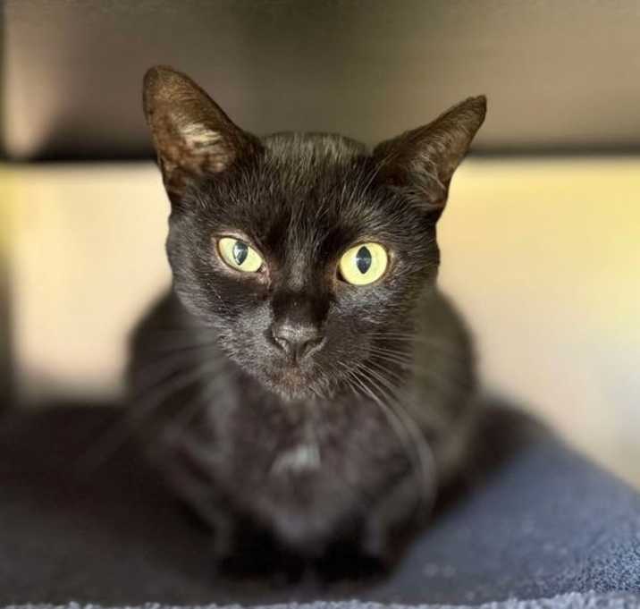 Photo of Zora
