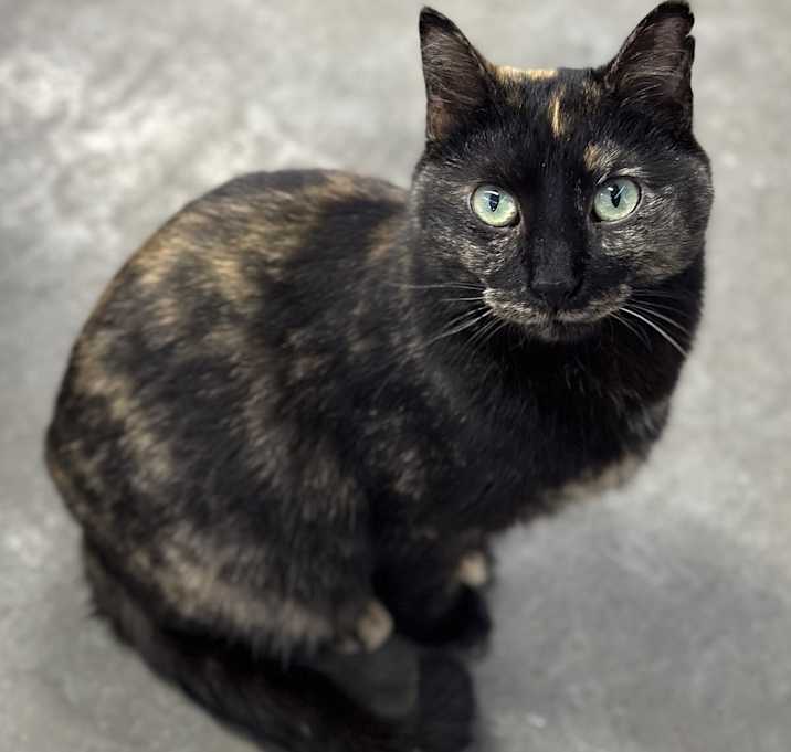 Photo of Charity