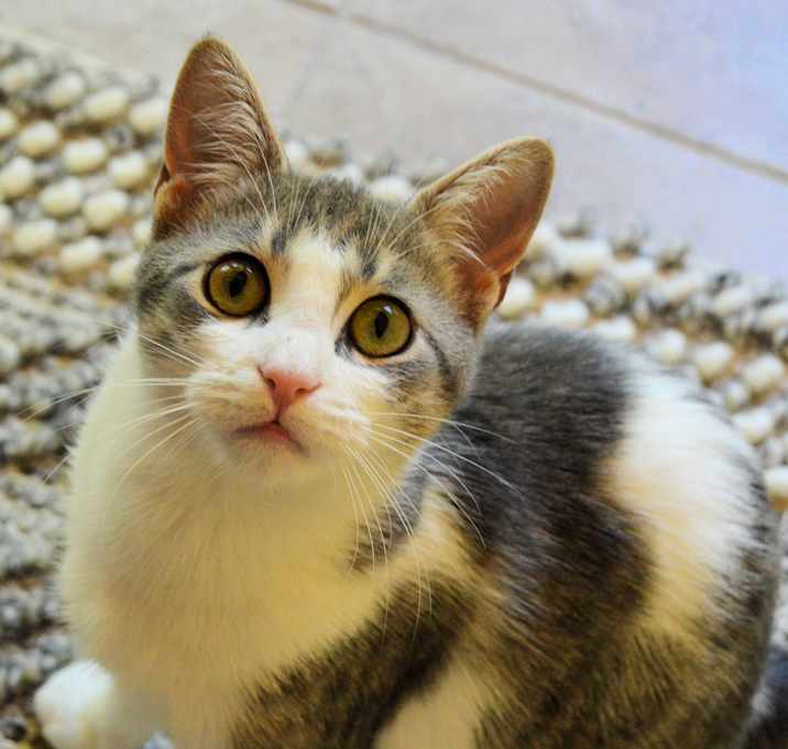 Photo of Junebug
