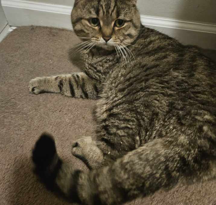 Photo of Riki