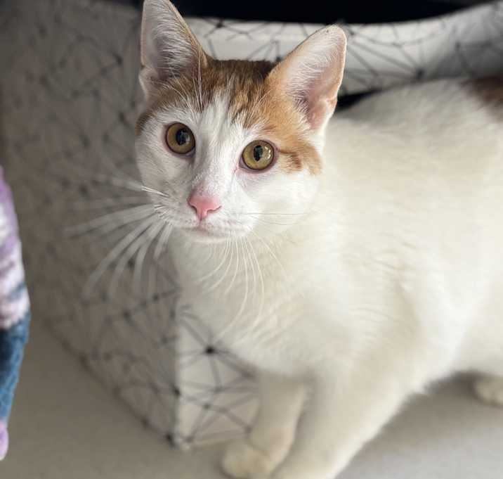Photo of Friendly