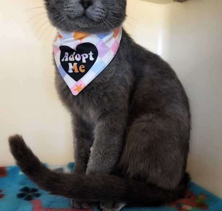 Photo of Tom