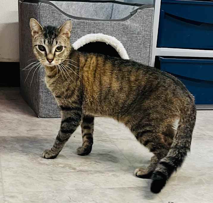 Photo of Butterball