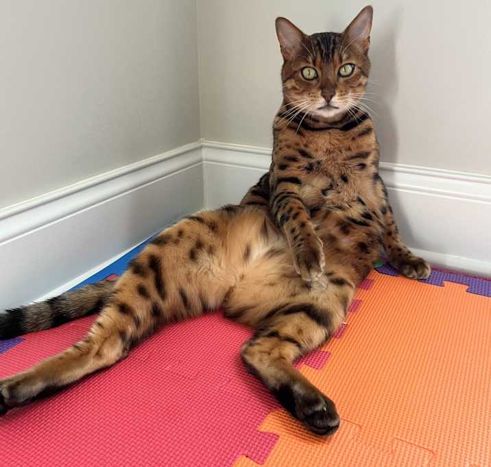 Photo of Kat