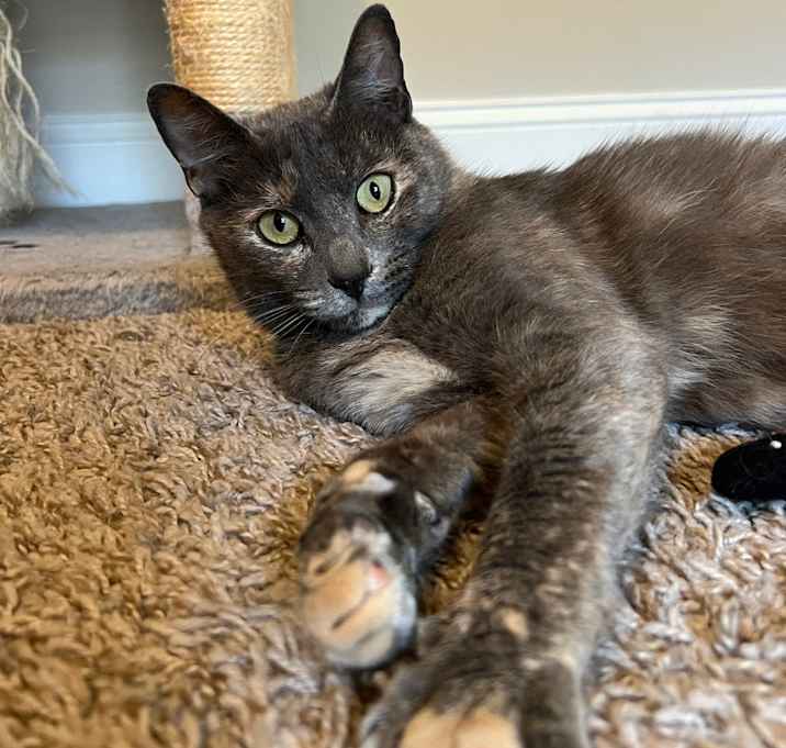 Photo of Elara
