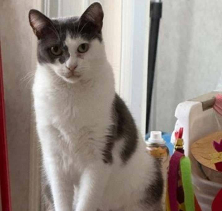 Photo of Snookie