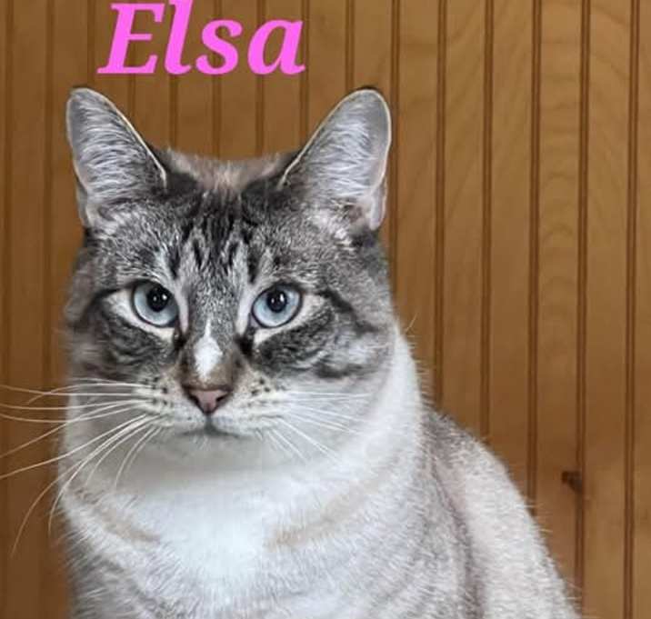 Photo of Elsa