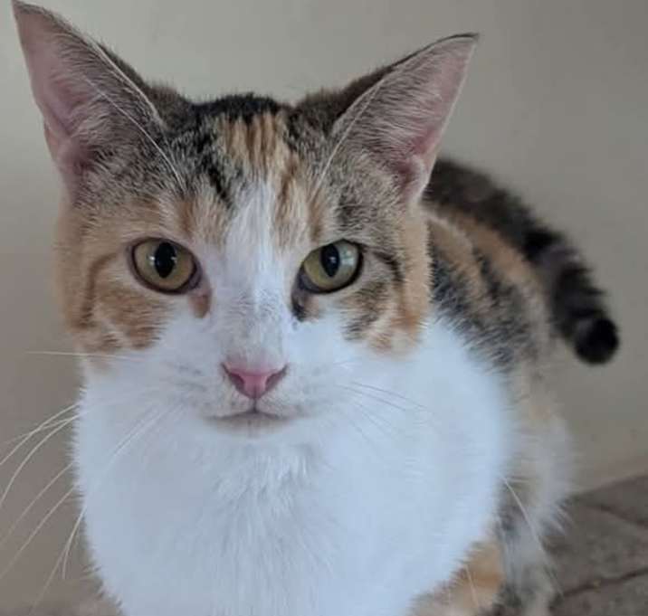 Photo of Hermione