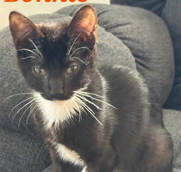 Photo of Bonnie
