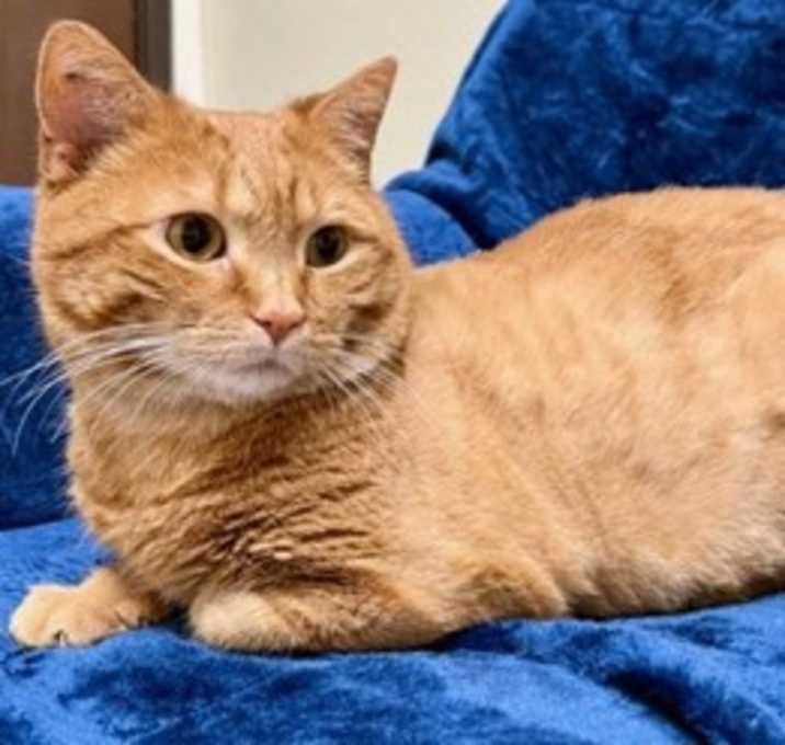 Photo of Buddy