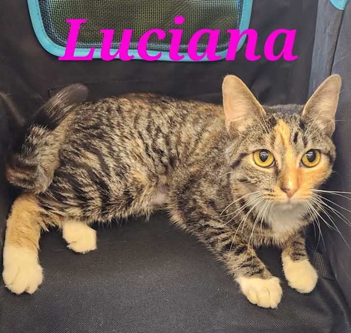 Photo of Luciana