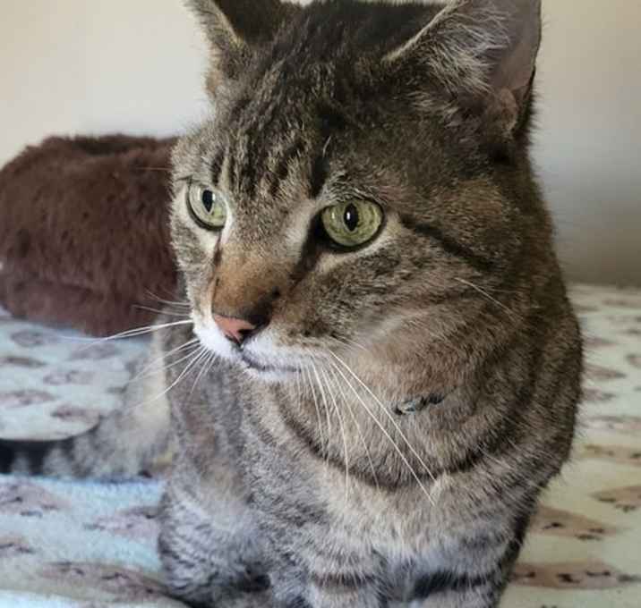 Photo of Jason