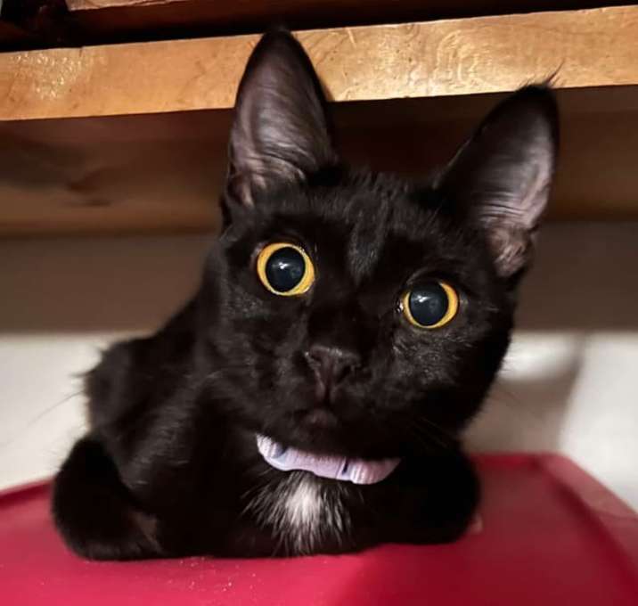 Photo of Chloe