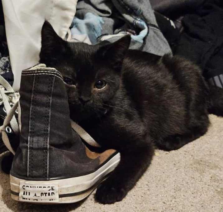 Photo of Vito