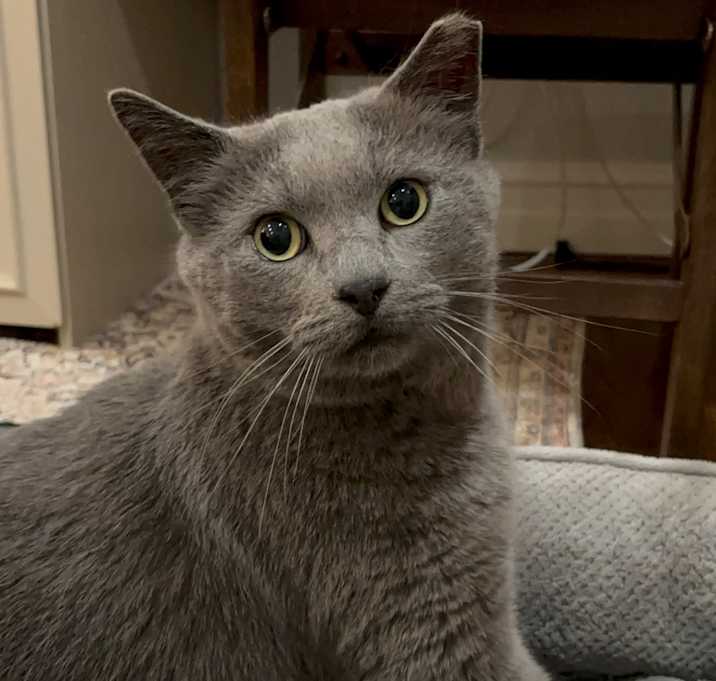 Photo of Studebaker
