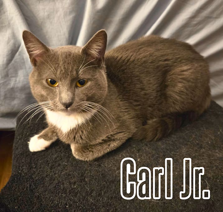 Photo of Carl Jr