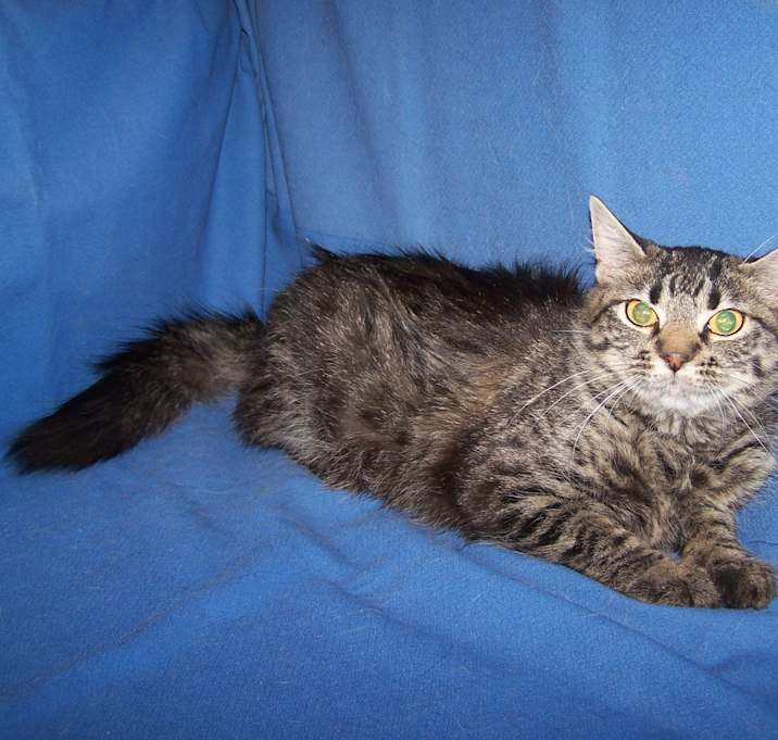 Photo of Julie