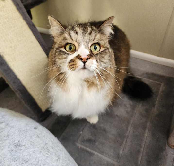 Photo of Kingston