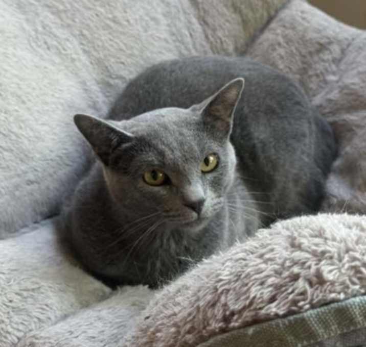 Photo of Cindy