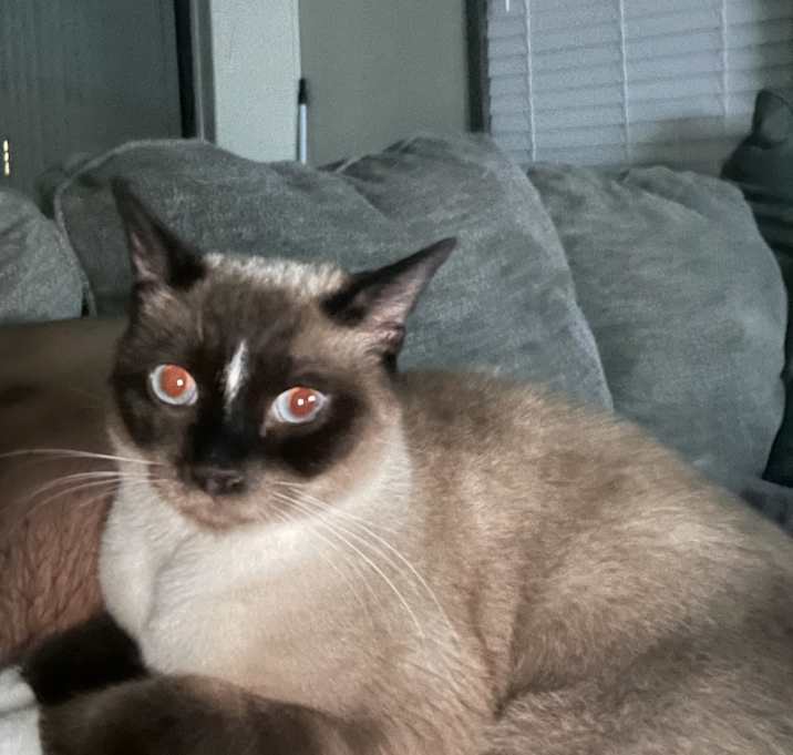 Photo of Charlie