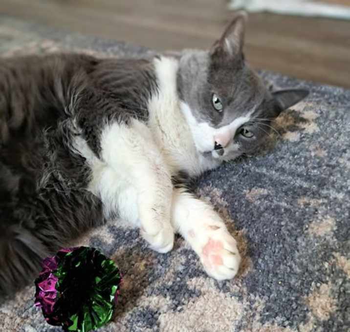 Photo of Ms. Boots