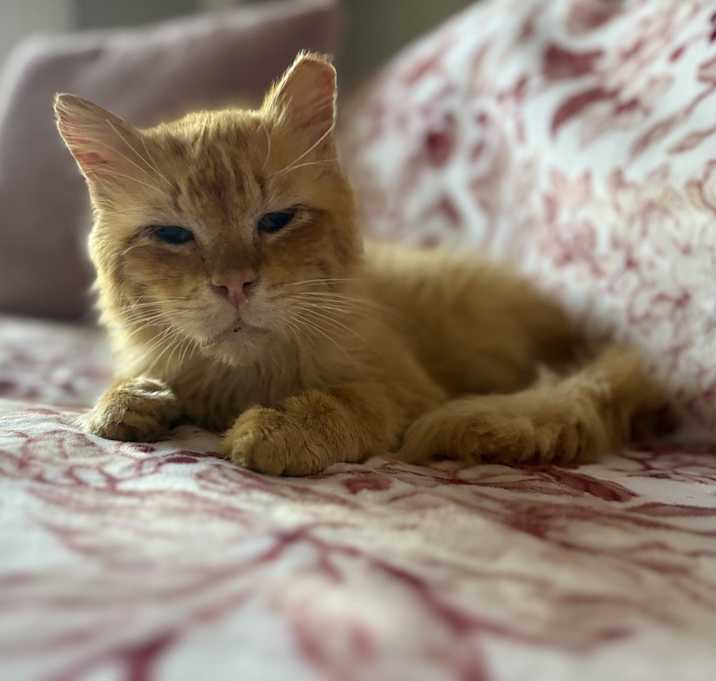 Photo of Damien