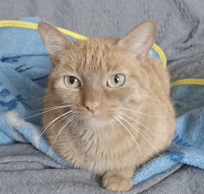 Photo of Padmae